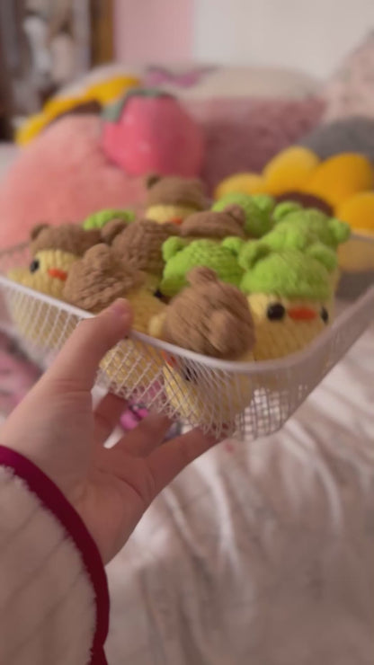 Chick with a little hat | Perfect for markets